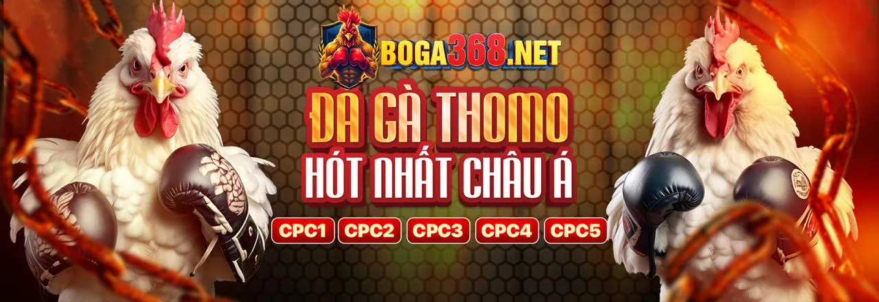 Hướng dẫn tải ứng dụng cá cược cho iPhone và iPad